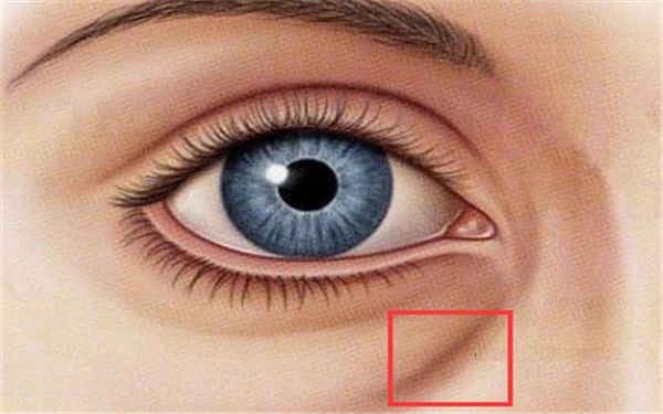 上海哪家醫(yī)院做雙眼皮好？楊嫻嫻的雙眼皮手術是否值得推薦？點擊查看價格表！