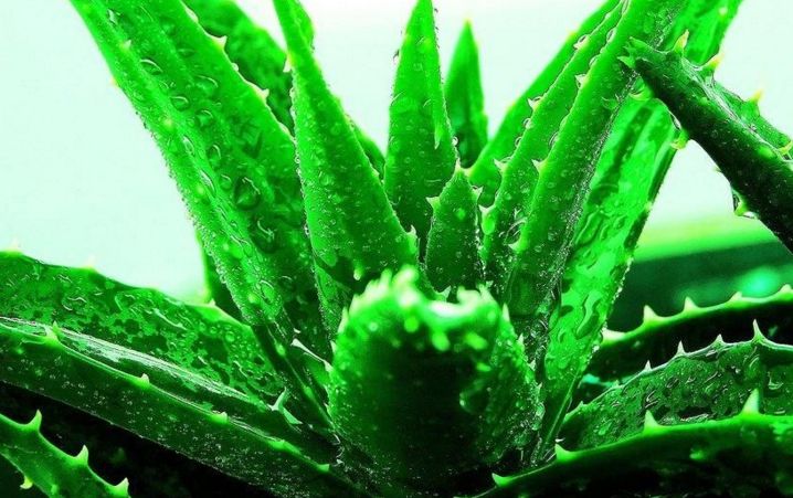 北京圣佳嘉新醫(yī)療美容怎么樣？北京圣佳嘉新醫(yī)療美容簡介|醫(yī)生團隊|口碑評價！