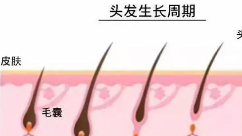 徐州市中心醫(yī)院整形美容科的醫(yī)生介紹及鼻子手術(shù)費用如何？