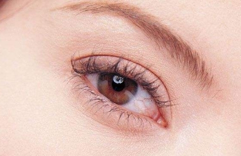 征服唐都醫(yī)院整形科醫(yī)生名錄經(jīng)驗分享