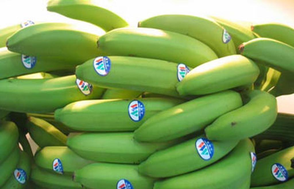 臂部和腹部的瘦身攻略是什么？