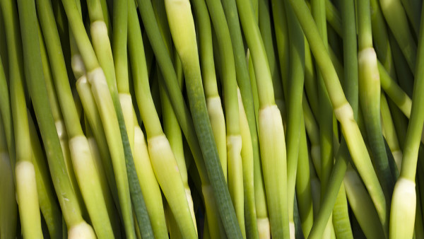 跑步瘦身的最佳速度是多少？