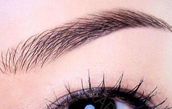 頭發(fā)種植品牌“碧蓮盛”，解讀貴陽市的專家團(tuán)隊(duì)與價(jià)格表