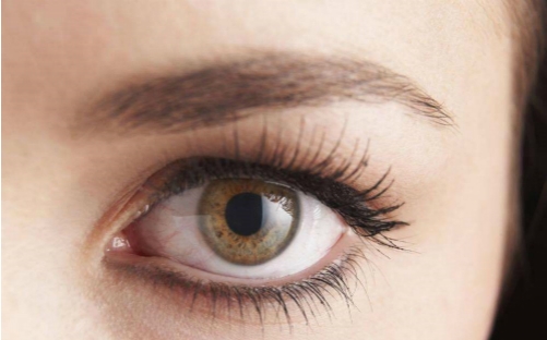 湛江第一中醫(yī)醫(yī)院美容整形科資質(zhì)可信嗎？口碑好不好？值得選擇嗎？