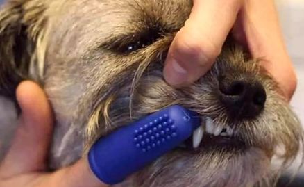 西安女子醫(yī)院醫(yī)美專家榜單，醫(yī)療精英不可錯(cuò)過