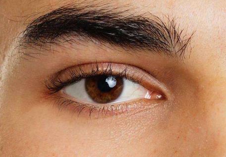 90天試用：劉春偉的鼻子果實(shí)效如何？分享我的體驗(yàn)！