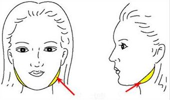 寧波哪里能找到靠譜的整形醫(yī)院？