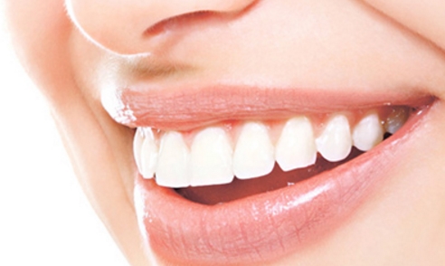 芭比堂動物醫(yī)院：是您寵物的理想選擇嗎？