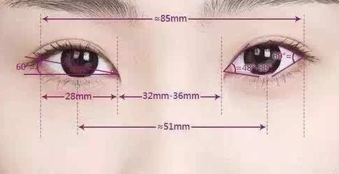 胸部不同尺寸和下垂如何解決？自身脂肪豐胸能夠增加乳房大小嗎？