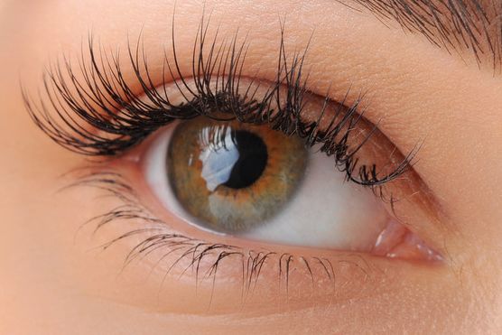 上海微加整形醫(yī)院院長張景濤的詳細介紹與完美鼻修復案例揭秘