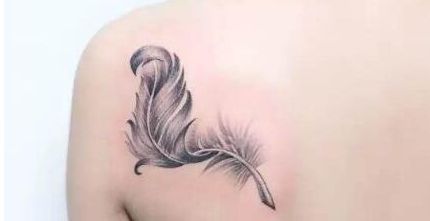 上海專業(yè)整形機(jī)構(gòu)信息分享，驚喜之處揭秘！