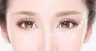 松修高壽—探索高壽松修復(fù)方案的價(jià)格揭秘！