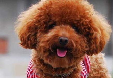 鼻部整形術(shù)前咨詢指導(dǎo)參考真人案例展示