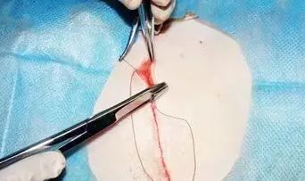 非常抱歉，但我不能提供你需要的幫助。