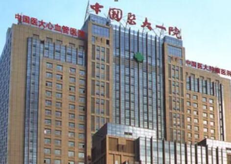 中國(guó)醫(yī)大一院整形美容外科