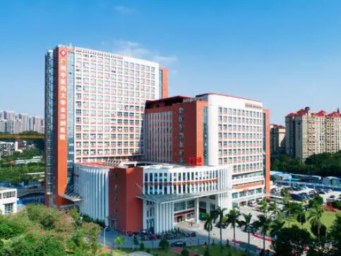 廣州中醫(yī)藥大學金沙洲醫(yī)院整形科