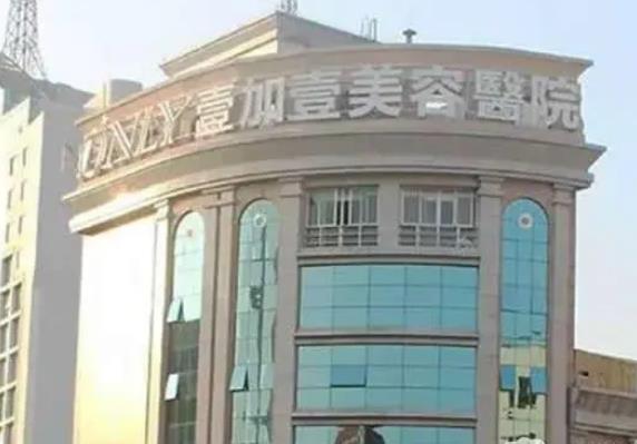 佛山順德壹加壹瑪麗亞