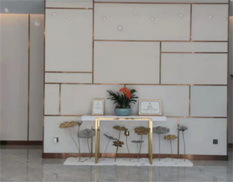 寧波菁漾醫(yī)療美容