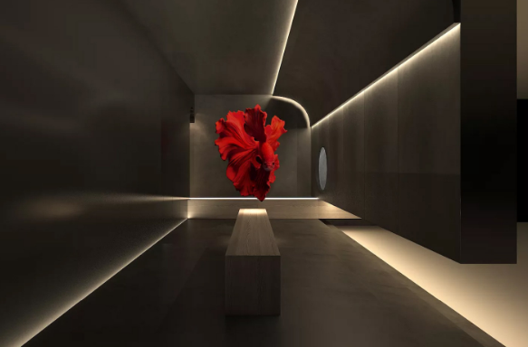 深圳宸山醫(yī)療美容