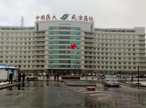 沈陽盛京醫(yī)院整形外科