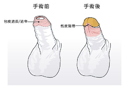 2023長(zhǎng)沙頭發(fā)再生專家整理：頂級(jí)植發(fā)醫(yī)生推薦奉上