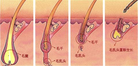重要口腔問題？長沙頂級口腔醫(yī)院推薦，專家將為你提供幫助！