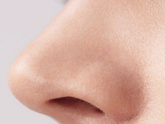 成都漢密爾頓鼻小柱延長