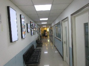 上海明珠醫(yī)院自體軟骨隆鼻有何優(yōu)勢(shì)？可以維持多久？