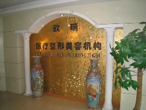 上海愛美整形假體隆鼻效果如何？價格貴嗎？