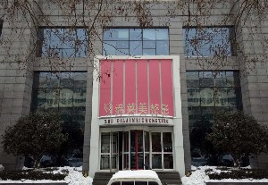 駐馬店締萊美整形