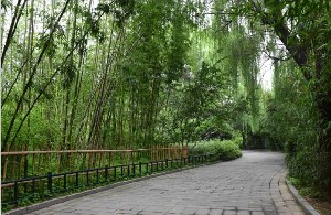 北京海醫(yī)悅美整形面部填充適應(yīng)癥有哪些？多久消腫？