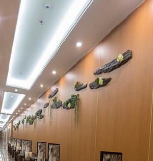 東北國際醫(yī)院副乳切除有何優(yōu)點？術(shù)后注意事項？