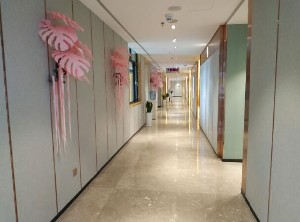 保定藍山醫(yī)療美容醫(yī)院做自體脂肪豐胸怎么樣？