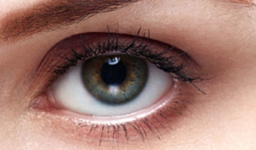 切雙眼皮的費(fèi)用是多少？割雙眼皮的最佳時間？