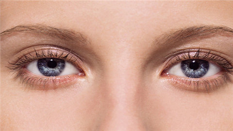 豐臥蠶大概需要多少錢？