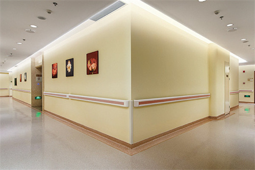 武漢麗比雅醫(yī)療美容醫(yī)院 武漢麗比雅醫(yī)療美容醫(yī)院