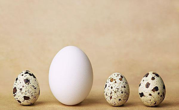 雞蛋祛斑有用嗎？雞蛋祛斑的正確方法？