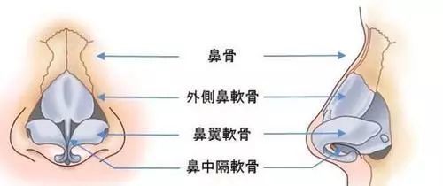 鼻骨內(nèi)推