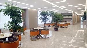 鄭州中植植發(fā)醫(yī)院