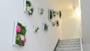 威海美神德爾美客醫(yī)療美容門診部