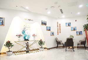 北京杏林醫(yī)療美容醫(yī)院