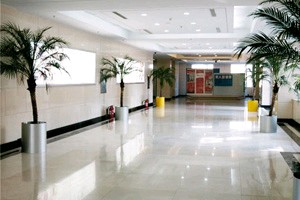 武漢明星醫(yī)學(xué)整形美容醫(yī)院